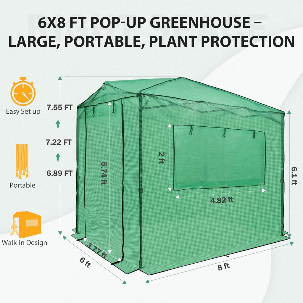 EAGLE PEAK Instant Pop-up Greenhouse  Indoor Outdoor Plant Gardening Green House  Roll-Up Zipper Doors and Side Windows  Walk in 8x6 ft  PE Cover  Green/Clear