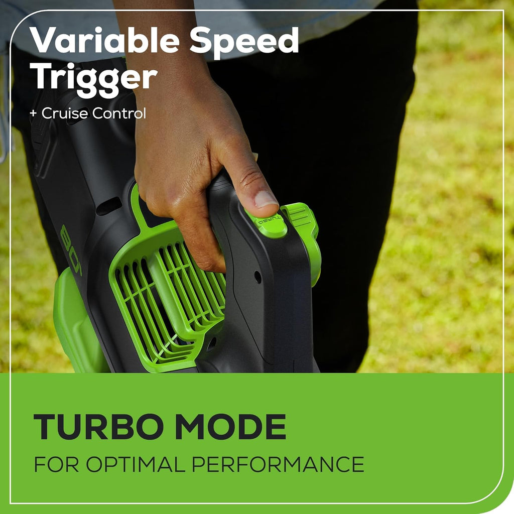 Greenworks 80V (700 CFM / 170 MPH) Brushless Cordless Leaf Blower  Commercial-Grade Power  40-Min Rapid Charger for Wet Leaves  Heavy Debris  Gravel and Driveway Snow  Includes 2.5Ah Battery & Charger