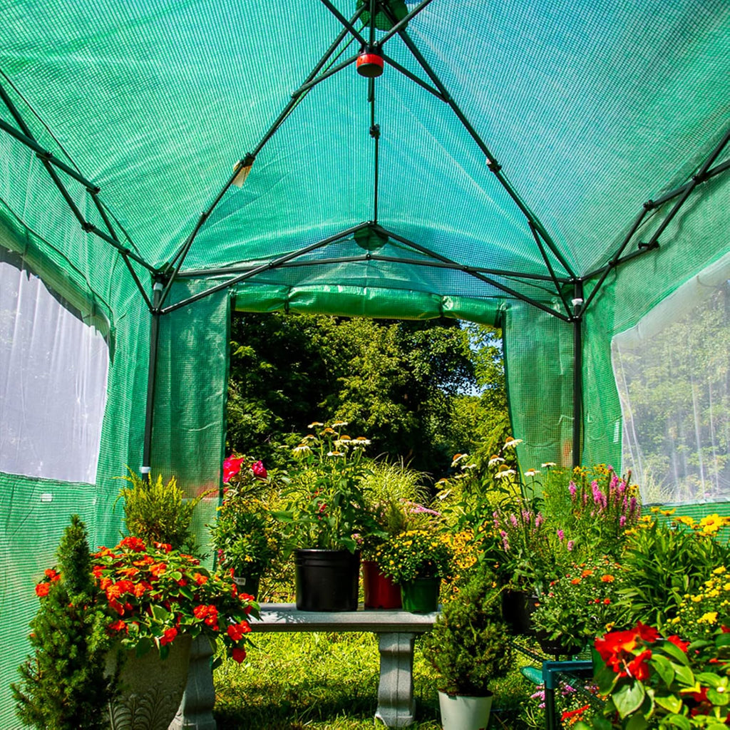 EAGLE PEAK Instant Pop-up Greenhouse  Indoor Outdoor Plant Gardening Green House  Roll-Up Zipper Doors and Side Windows  Walk in 8x6 ft  PE Cover  Green/Clear