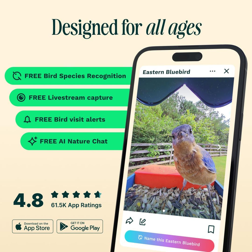Birdbuddy PRO Solar Smart Bird Feeder with Camera - AI Bird Species Identification  5MP Photos  2K HD Video Live Stream Camera  Slow-Motion Video  2.6in Focus - Blue Solar