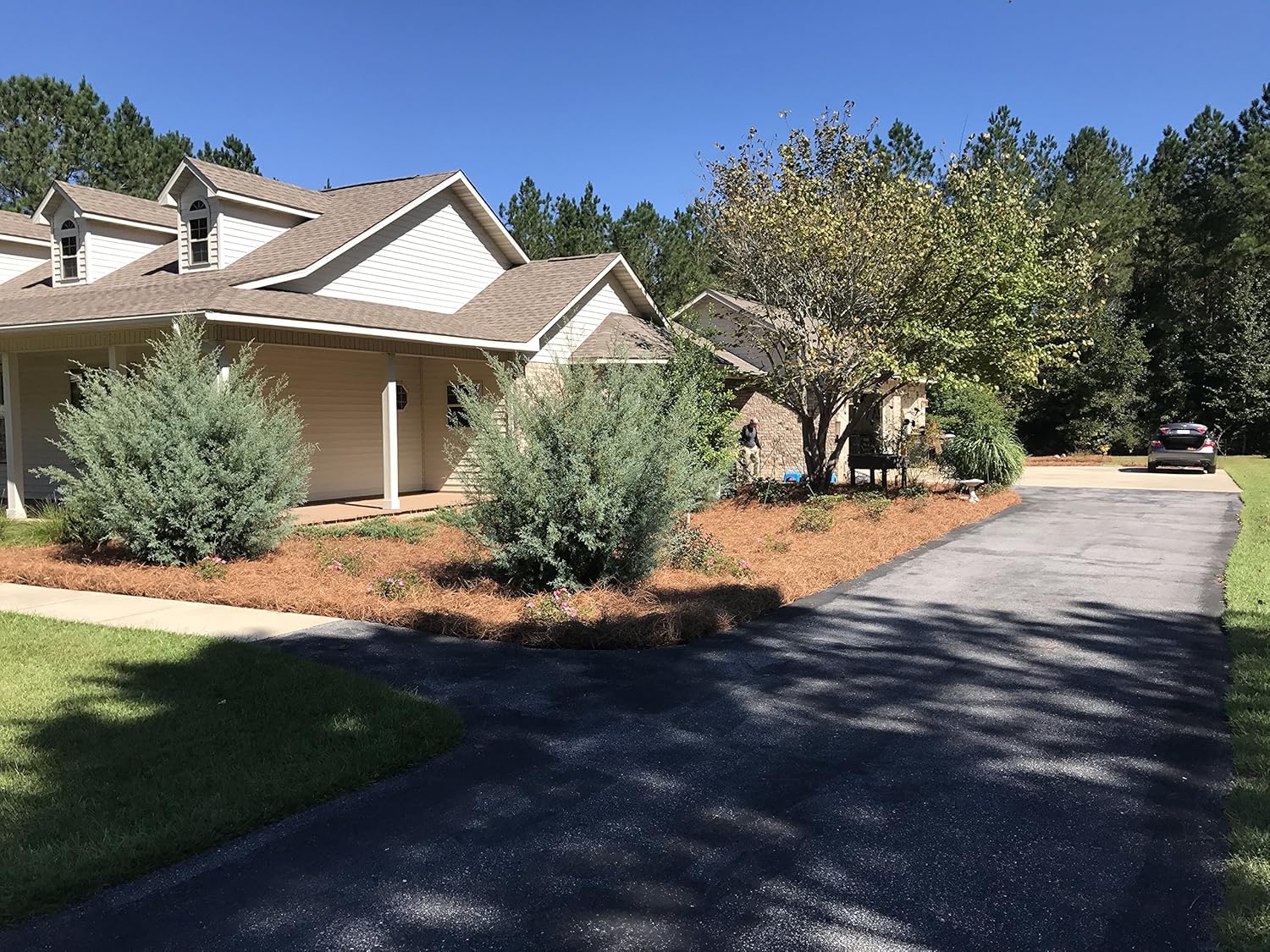 Long Needle Pine Straw Mulch - 2400 Sqft Coverage 1 Set - Premium USA Harvested PineStraw for Landscaping  Weed Control  Moisture Retention & Erosion Control - USA Pinestraw