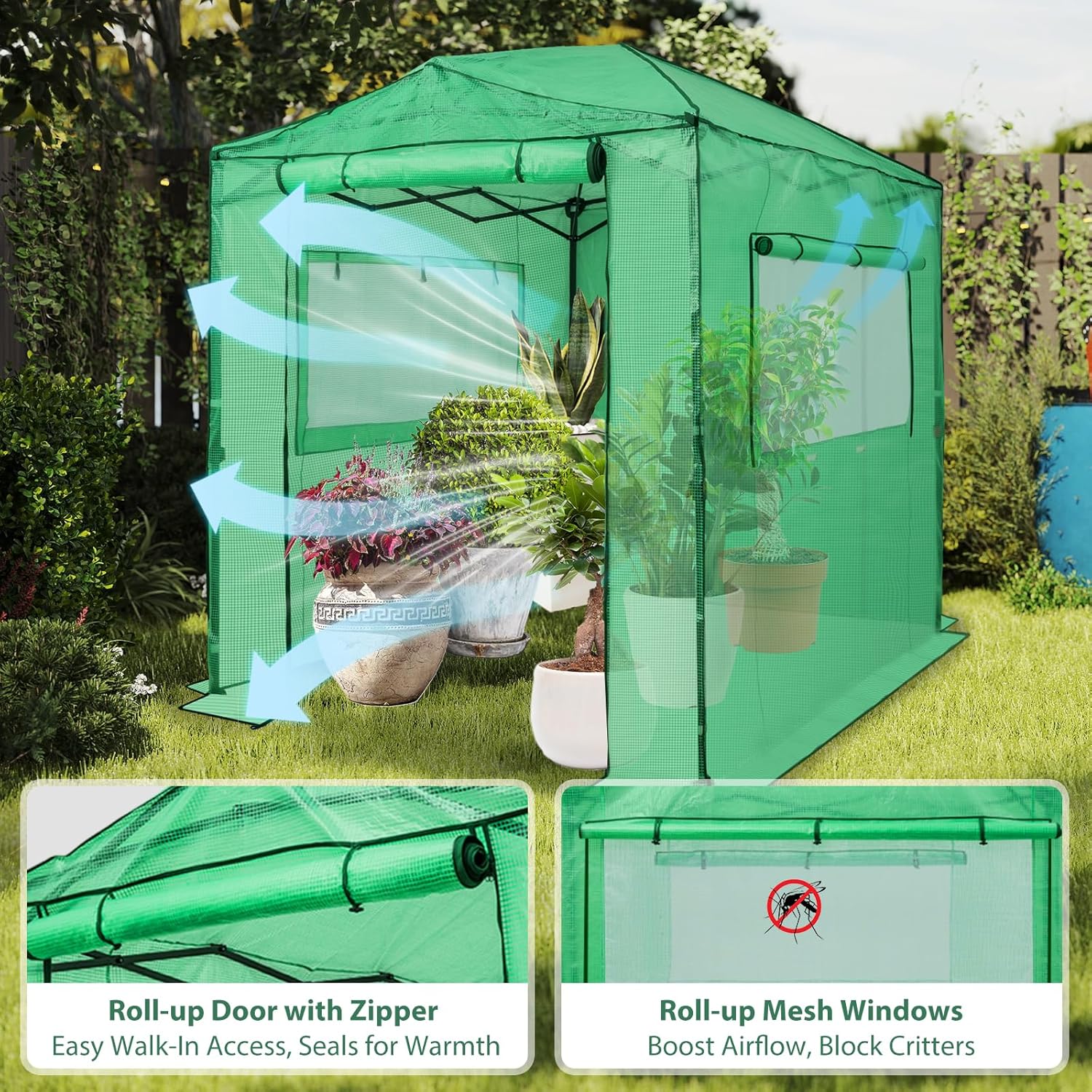 EAGLE PEAK Instant Pop-up Greenhouse  Indoor Outdoor Plant Gardening Green House  Roll-Up Zipper Doors and Side Windows  Walk in 8x6 ft  PE Cover  Green/Clear