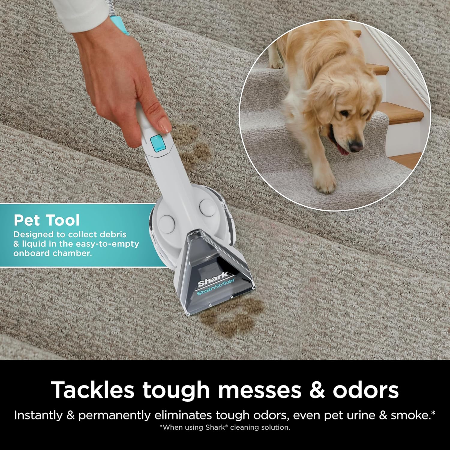 Shark CarpetXpert with StainStriker Upright Carpet, Area Rug & Upholstery Cleaner with Pet Mess Extractor Tool, Perfect for Pets, Carpet Shampooer, 3 Cleaning Tools, Cleaning Solutions, White, EX201