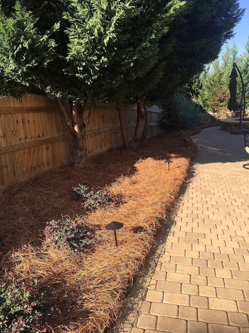 Long Needle Pine Straw Mulch - 2400 Sqft Coverage 1 Set - Premium USA Harvested PineStraw for Landscaping  Weed Control  Moisture Retention & Erosion Control - USA Pinestraw