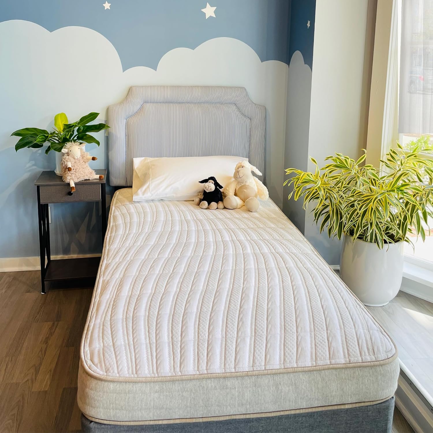 Ethical Mattress CO 6" Kid's Mattress, Toxin-Free, Made in The USA with Organic Cotton, Wool, Latex & Pocketed Coils (Bed-in-a-Box); Perfect for bunk beds, trundles & Platform beds - Full Size