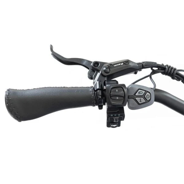 20 48V/14AH 750W Foldable Fat Tire Electric Trike, 330LBS