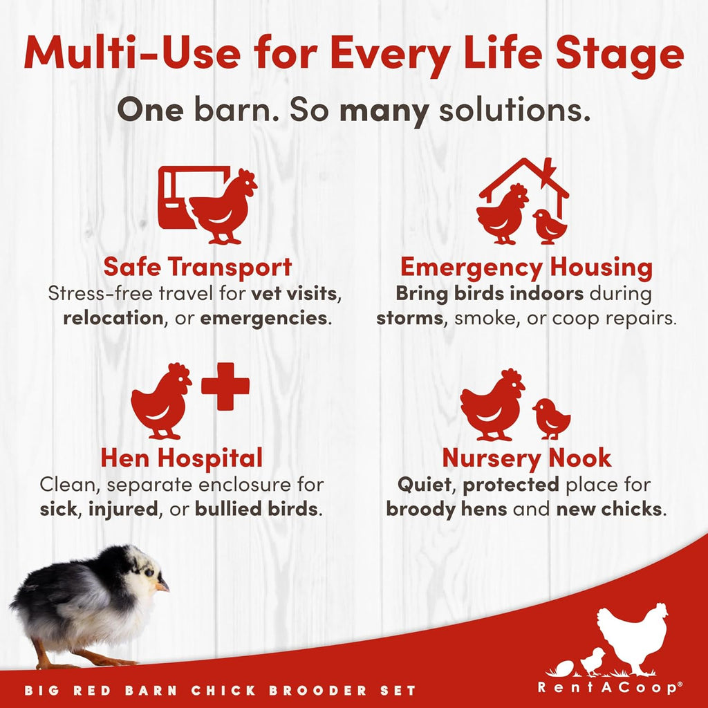 RentACoop Big Red Barn Chick Brooder Set | Durable  Lightweight  Easy-Clean  Multipurpose | with Heating Plate  Feeder  Waterer  Absorbent Hatchling Liners  Jute Liners  LED Light  Security Latch