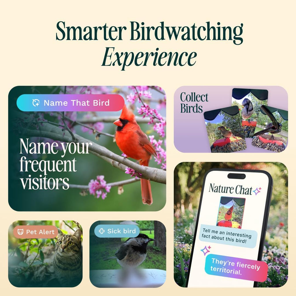 Birdbuddy PRO Solar Smart Bird Feeder with Camera - AI Bird Species Identification  5MP Photos  2K HD Video Live Stream Camera  Slow-Motion Video  2.6in Focus - Blue Solar