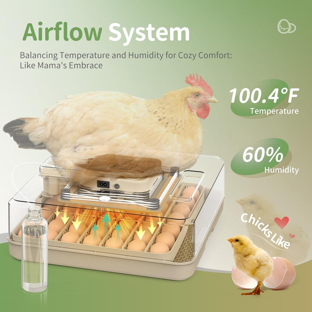 Egg Incubators for Hatching Eggs  Egg Incubator with Automatic Egg Turning and Humidity Control  Quail Eggs Chicken Egg Incubator (48 Eggs)