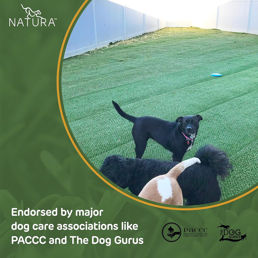 Natura PowerRun 10377011 Outdoor Artificial Grass for Dogs  Turf Grass Patch Blends in with Natural Grass  Keeps Paws and Homes Clean  3 ft. x 25 ft.  Green