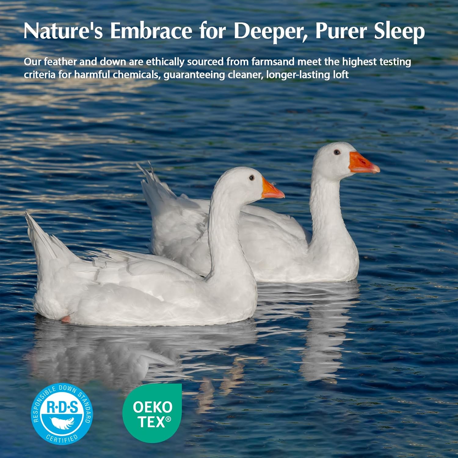 Pacific Coast Queen Comforter, White Goose Down Bed Comforter Queen Size,All Season Ultra Soft 100% Cotton Luxury Hotel Duvet Insert, 90"x90"