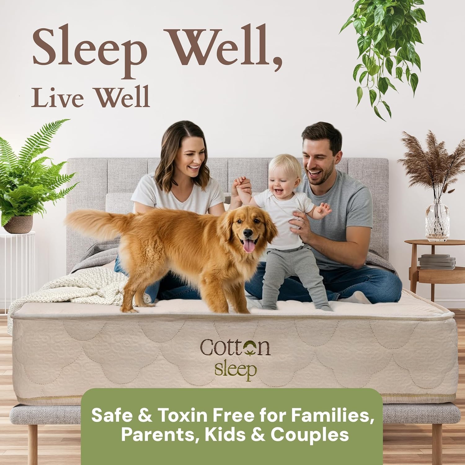 CottonSleep All Natural Mattress (100% Organic Cotton, Wool, & GOTS Latex, Made in The USA) Non Toxic, Fiberglass Free Hybrid Pocket Coil and Plush Foam Bed in A Box Medium Soft - King, 13"
