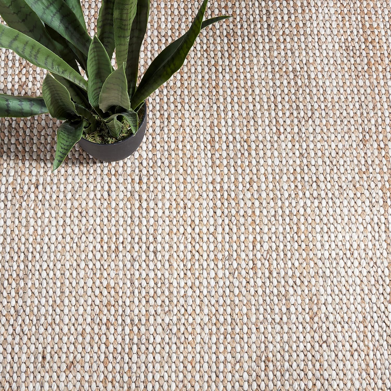 SAFAVIEH Natural Fiber Collection 8' x 10' Natural / Beige NFB553B Handmade Wool & Jute Living Room Dining Bedroom Area Rug