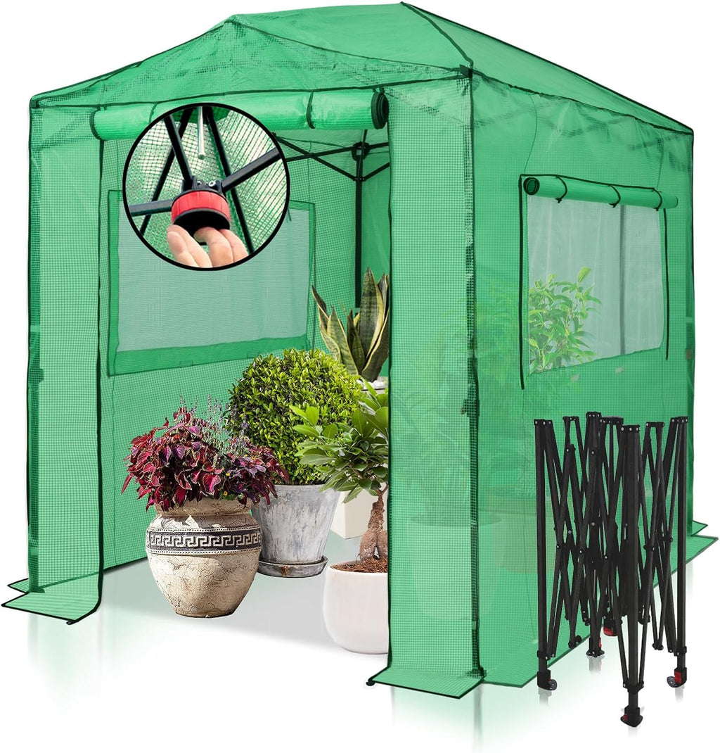 EAGLE PEAK Instant Pop-up Greenhouse  Indoor Outdoor Plant Gardening Green House  Roll-Up Zipper Doors and Side Windows  Walk in 8x6 ft  PE Cover  Green/Clear
