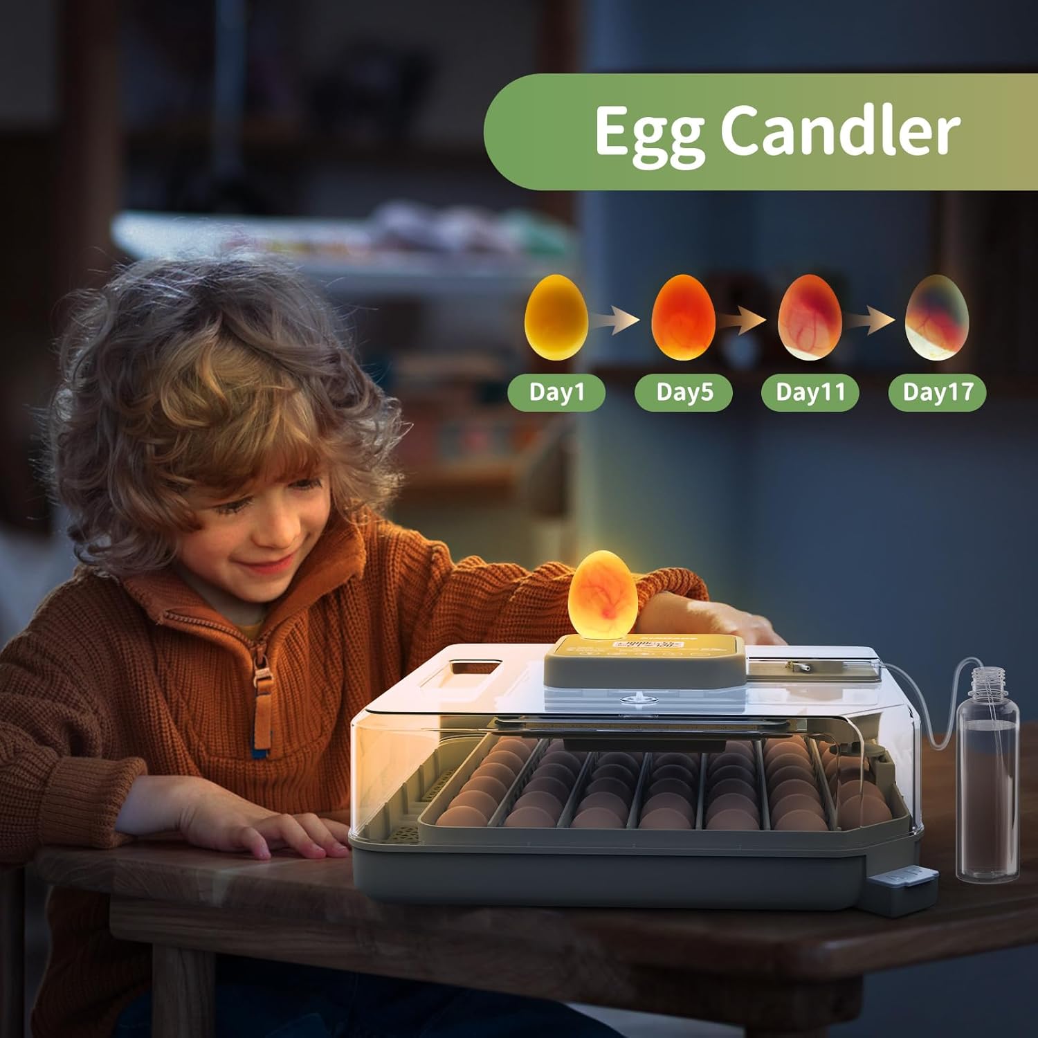 Egg Incubators for Hatching Eggs  Egg Incubator with Automatic Egg Turning and Humidity Control  Quail Eggs Chicken Egg Incubator (48 Eggs)