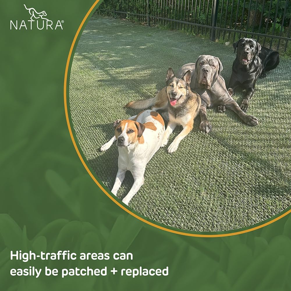 Natura PowerRun 10377011 Outdoor Artificial Grass for Dogs  Turf Grass Patch Blends in with Natural Grass  Keeps Paws and Homes Clean  3 ft. x 25 ft.  Green