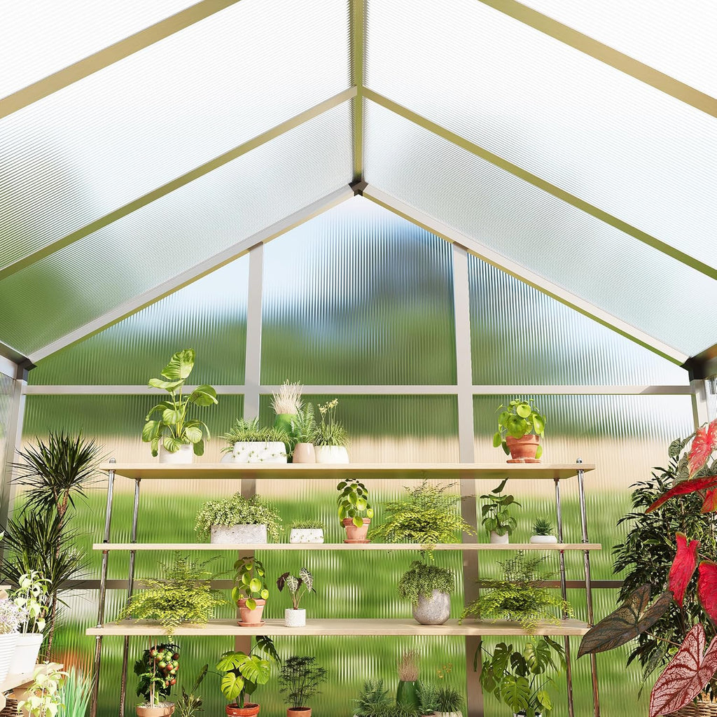 6 x 10 ft Greenhouse  Greenhouses for Outside  Polycarbonate Greenhouse with Aluminum Frame  Lockable Door and Ajustable Roof Vent for Backyard  Green Houses for Outside Garden Backyard  Patio